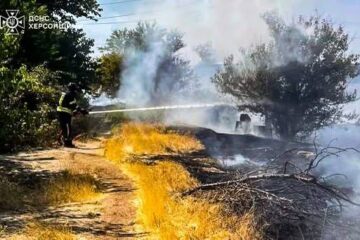Горіли будинки та 10 гектарів екосистем: на Херсонщині ліквідували наслідки російських обстрілів
