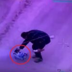 На Покровському напрямку чоловік голими руками знешкодив ворожий FPV на оптоволокні