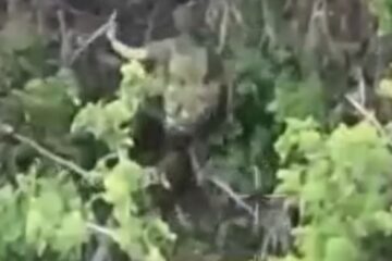 Бійці «Прайм» знищили групу окупантів під час облаштування фортифікаційних споруд