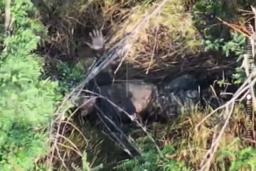 Ворог перекинув на Покровський напрямок бригаду «Барс», щоб замінити виснажені підрозділи