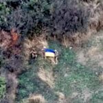 Застали ворога зненацька: ГУР та Третій корпус звільнили Новомихайлівку на Покровському напрямку