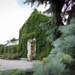 Пандус, дворівнева стійка й інклюзивна вбиральня. Ось як оновили Оранжерею на ВДНГ
