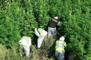 У 23 областях України відбувся другий етап спецоперації проти «чорного» ринку наркотиків «Джентльмени»