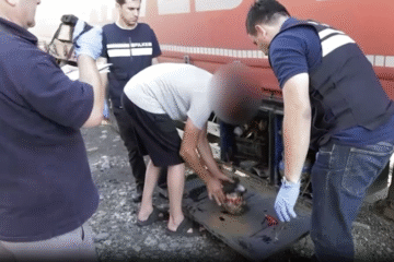 Грузія звинувачує СБУ у спробі ввезення вибухівки в країну