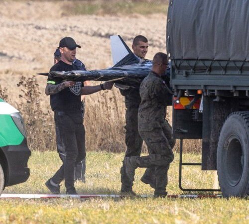 Німці стали більше боятися нападу РФ на країну-члена НАТО, – опитування