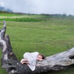 Українці в Ірландії долучаться до загальнонаціональної Ночі культури