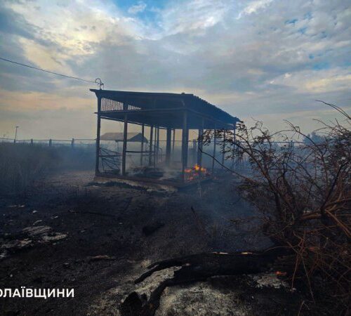 На Миколаївщині росіяни вбили чоловіка, який працював у полі