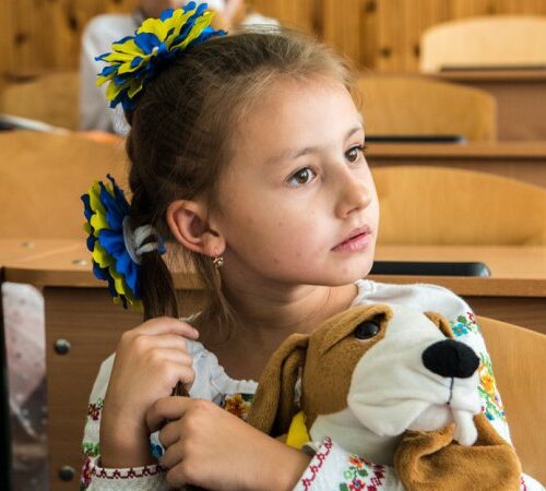 Рада підтримала запровадження заходів безпеки в закладах загальної середньої освіти