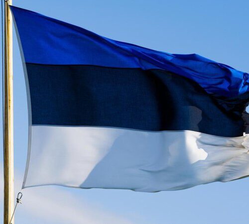 В Естонії стартували міжнародні військові навчання “Блискавка”