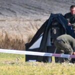 У лісах Польщі знайшли ймовірні уламки ще двох російських дронів