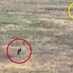 На Харківщині «пташки» Залізної бригади утилізували сімох ворожих штурмовиків
