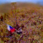 Спаплюжений триколор — українські пілоти вполювали ворожий дрон-прапороносець