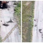 «Гострі Картузи» показали всіяну трупами дорогу, якою росіяни намагаються прорватися до Покровська