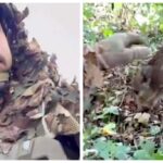 Тримали посадку разом — бійцю бригади «Помста» надійшло вкрай несподіване «підкріплення»