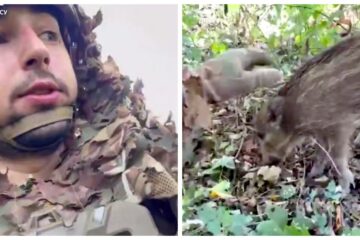 Тримали посадку разом — бійцю бригади «Помста» надійшло вкрай несподіване «підкріплення»