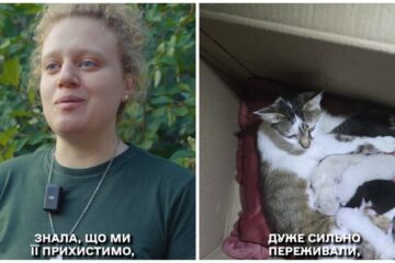 Бійці «Хартії» прихистили вагітну кішку та допомогли виходити її малюків