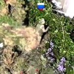 Голодні окупанти об’їдають дерева та кущі по зруйнованих селах