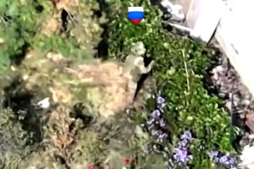 Голодні окупанти об’їдають дерева та кущі по зруйнованих селах