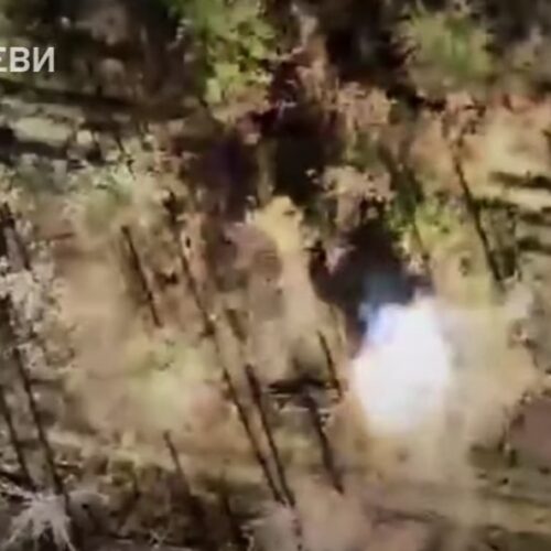 Мисливці стали здобиччю: українські дронарі знищили «гніздо» ворожих пілотів БПЛА