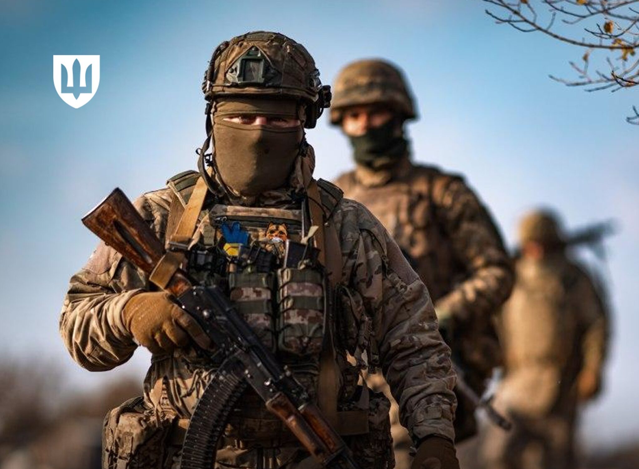 Контракт за принципом «18-24» запропонують для інших вікових категорій — Павло Паліса