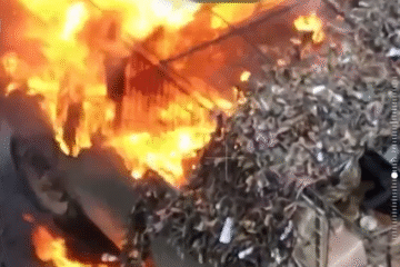 Технології окупантам не допомогли: прикордонники спалили ворожу техніку, не зважаючи на встановлений РЕБ