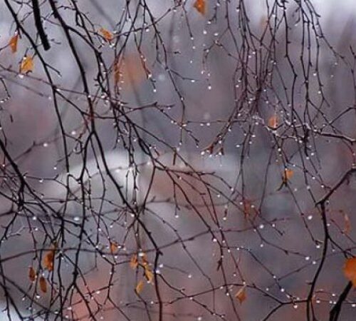 В неділю в Україні дощитиме