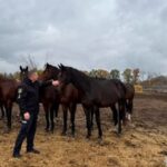 “Білі янголи” вивезли коня із зони бойових дій на Харківщині