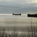 Reuters: Індія готується різко скоротити закупівлі російської нафти після санкцій США