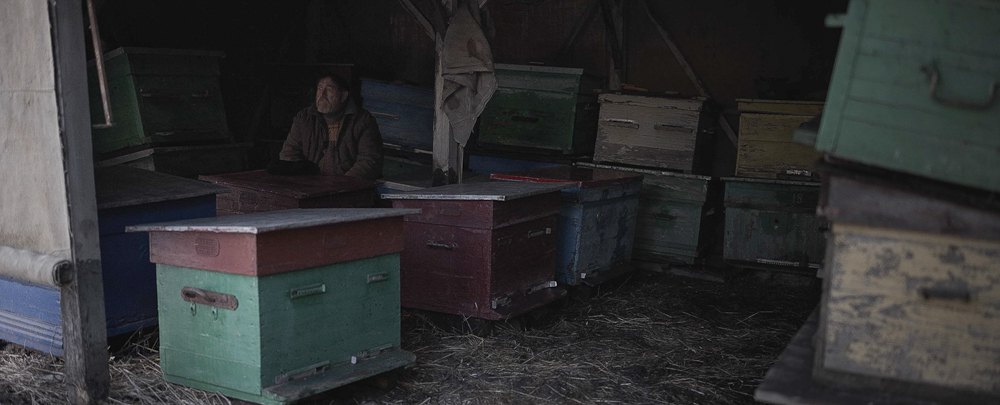 Кадр із стрічки «Сірі бджоли»