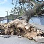 Внаслідок урагану “Мелісса” на Ямайці четверо загиблих