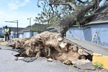 Внаслідок урагану “Мелісса” на Ямайці четверо загиблих