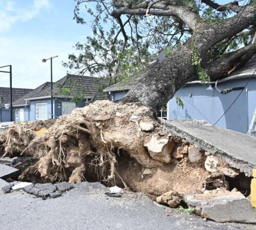 Внаслідок урагану “Мелісса” на Ямайці четверо загиблих
