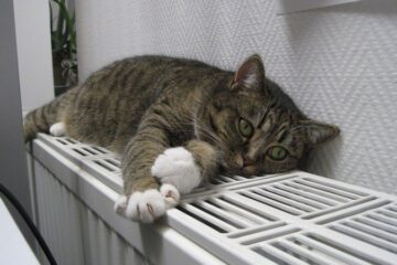 У Держенергонагляді заявили, що наразі до опалення підключили понад 62% споживачів