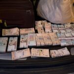 ДБР викрило схему незаконної вирубки дубів у шести областях