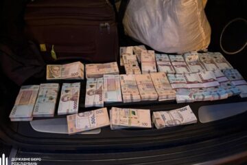 ДБР викрило схему незаконної вирубки дубів у шести областях