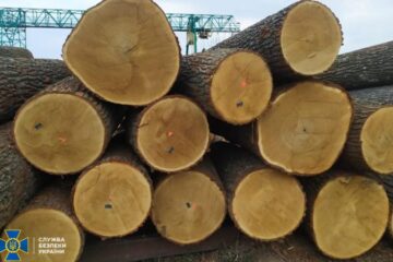 Уряд тимчасово заборонив експорт необробленої деревини