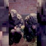 «Ні в кого не стріляв, а путін — ла-ла-ла» — бійці 33 ОШП захопили полонених у російському Тьоткіно