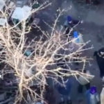 «Свої люди — надважливо»: українські десантники врятували 10 цивільних під час визволення Кучерового Яру
