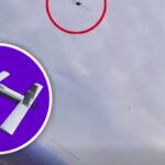 Zala, V2U, «Ланцети» — усі падають: «Залізні птахи» полюють без помилок