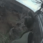 Відбились від FPV та зачистили ворога: Генштаб показав роботу штурмовиків на Покровському напрямку