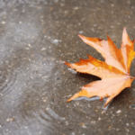 У неділю в Україні очікується невеликий дощ