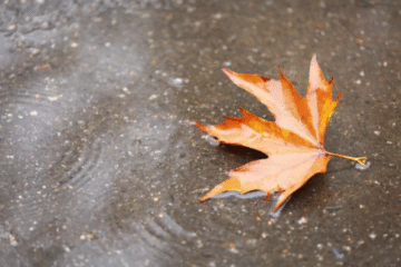 У неділю в Україні очікується невеликий дощ