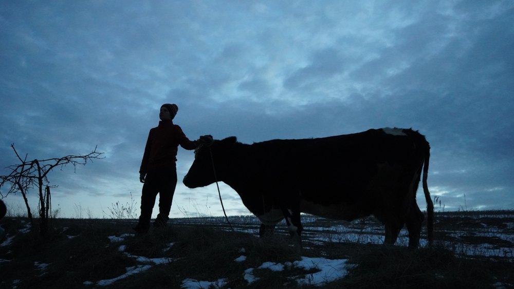 Кадр з новели «Корова в тумані» (Артем Черній і Мілка)