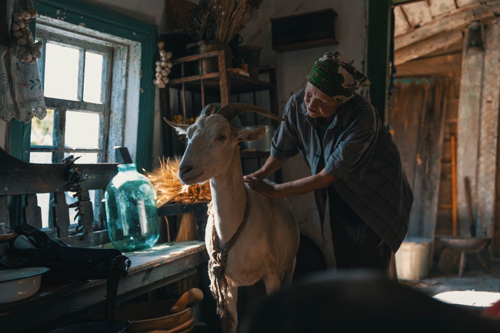 Кадр з новели 'Торпеда' (Ольга Мартинишин)