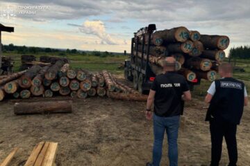 На Львівщині викрито схему незаконної вирубки лісу на 9 млн грн