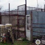 Поліцейські оголосили підозру керівнику зоокуточка, з якого втекли дві левиці