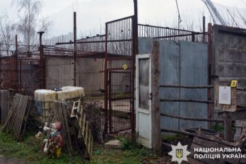 Поліцейські оголосили підозру керівнику зоокуточка, з якого втекли дві левиці