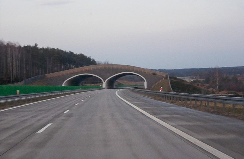 Надземні переходи в Європі