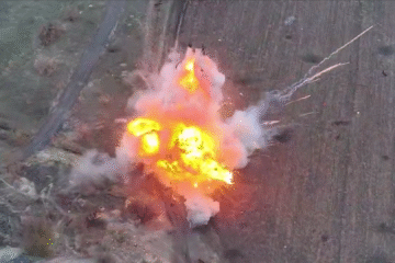 За 25 днів набору СБС поповнилися майже 1500 бійців