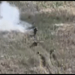 Прийшли, їх помітили, загинули — на Харківщини знищили кілька груп російських штурмовиків